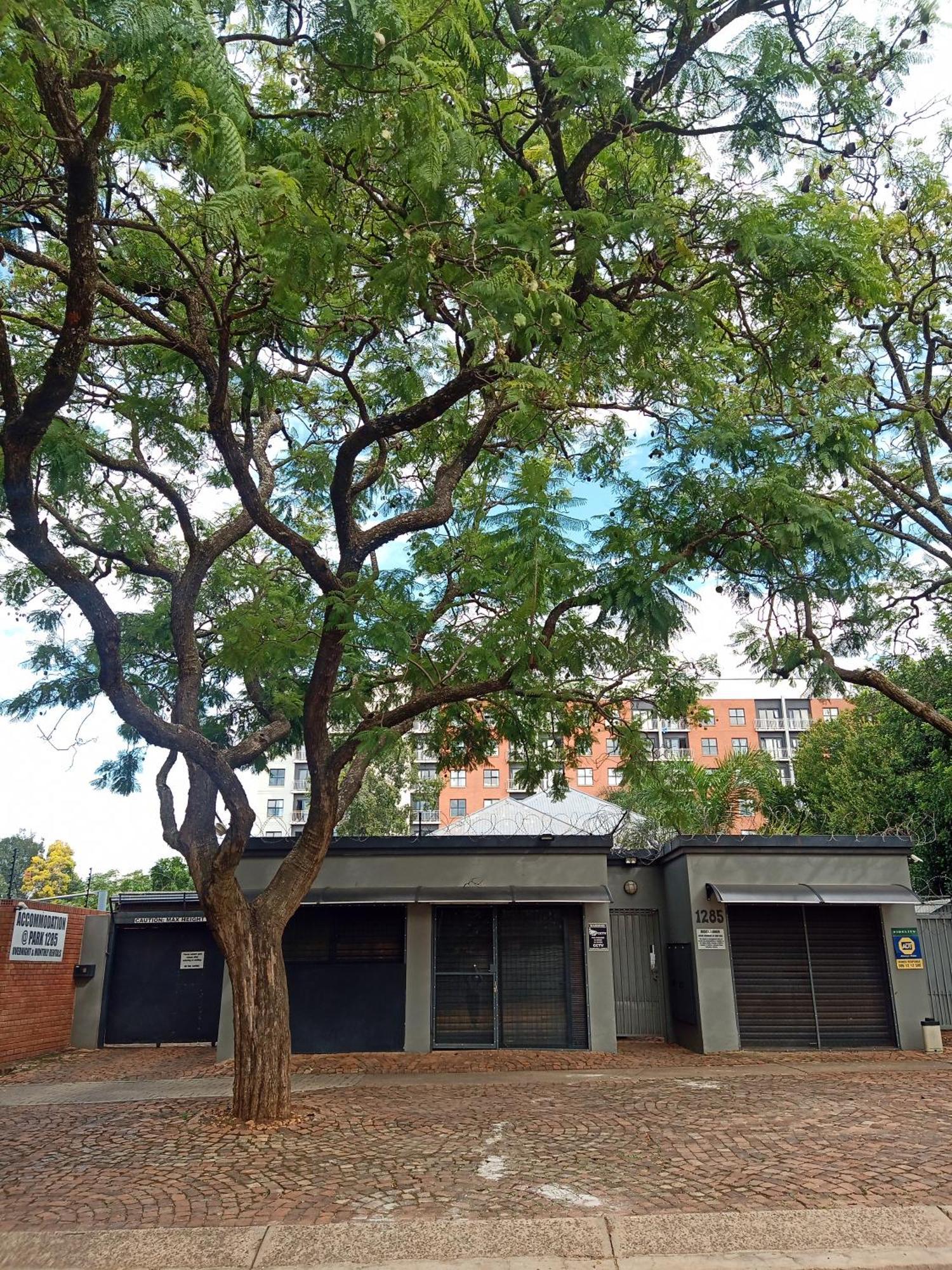 Accommodation@Park1285 Pretoria-Noord エクステリア 写真