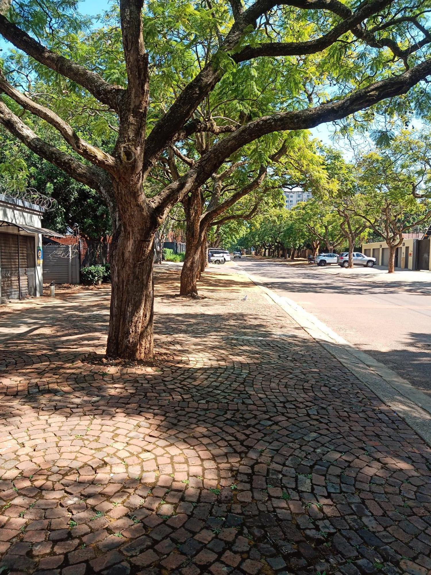 Accommodation@Park1285 Pretoria-Noord エクステリア 写真